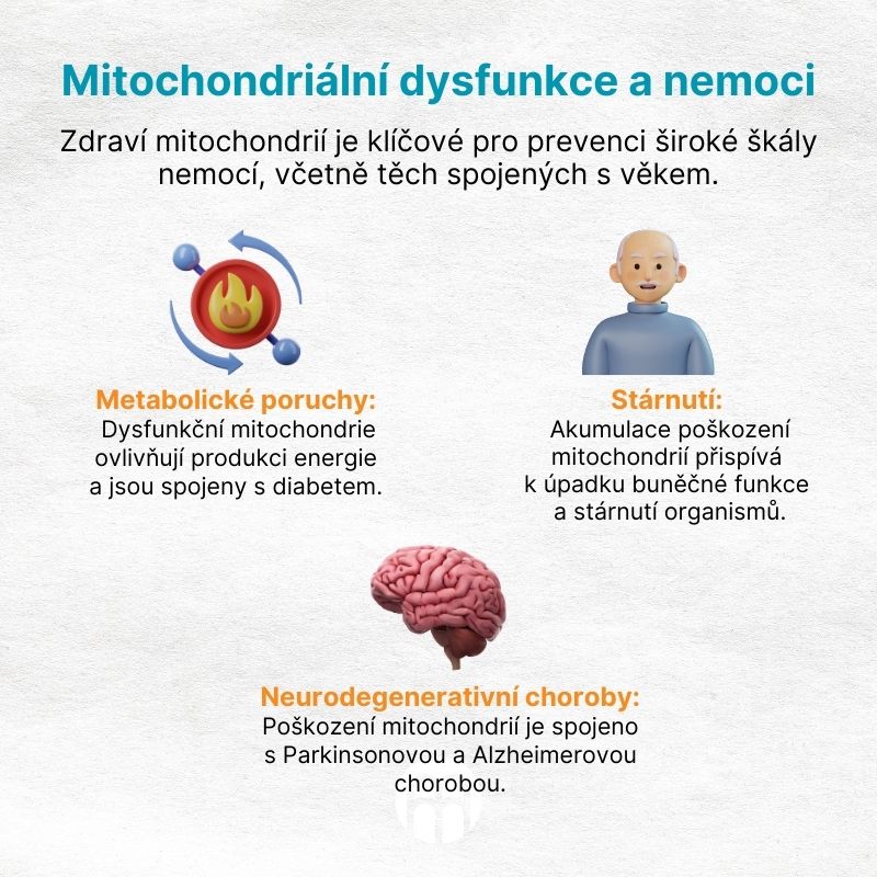 Mitochondriální dysfunkce a nemoci (1)